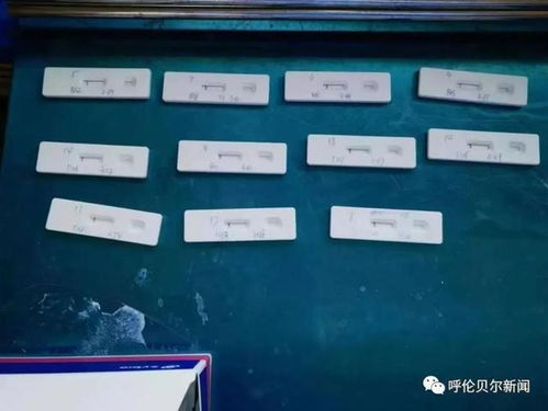 海拉尔地区首批新冠病毒抗原检测试剂投入使用 新冠筛查再添新利器