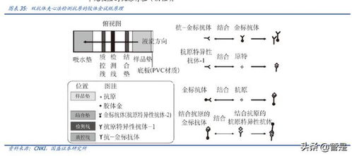 万泰生物研究报告 公司综合实力强劲,hpv疫苗驱动高速增长